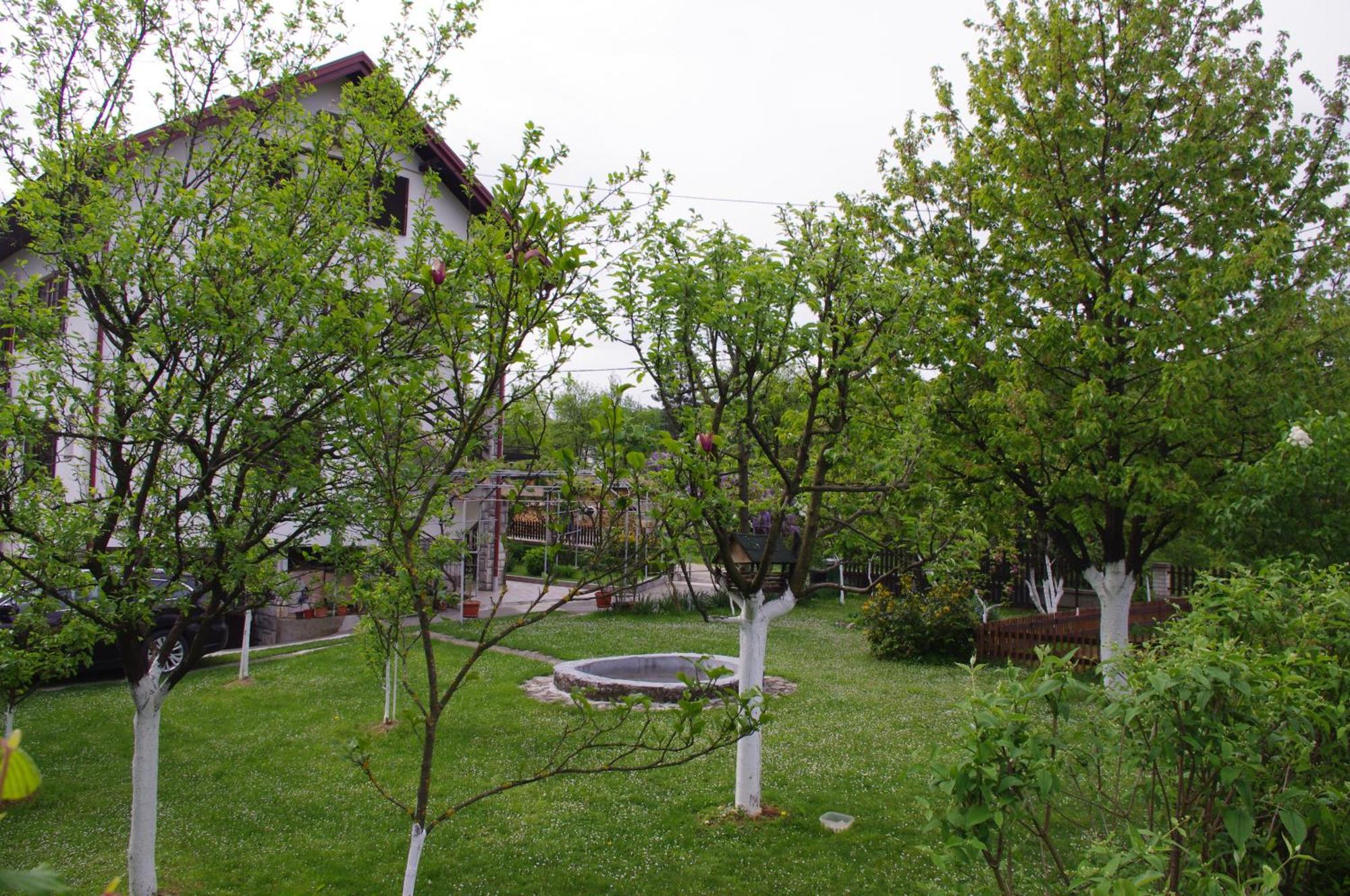 Apartment Tomy Szluin Kültér fotó