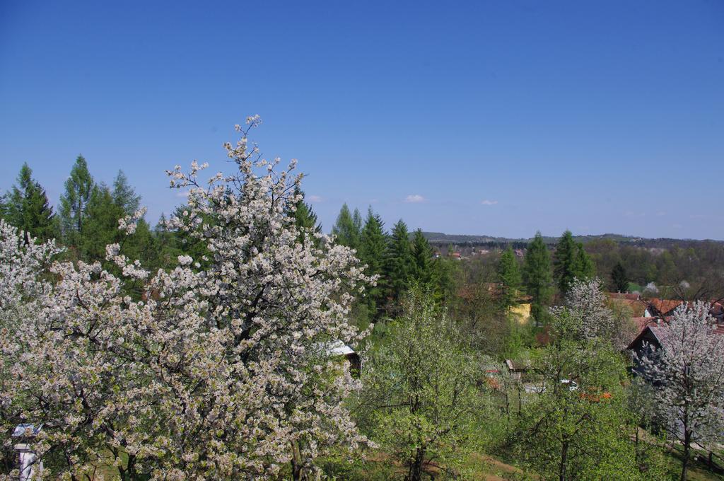 Apartment Tomy Szluin Kültér fotó